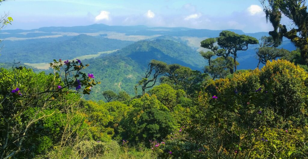 Hiking & Trekking, Sri Lanka hill country