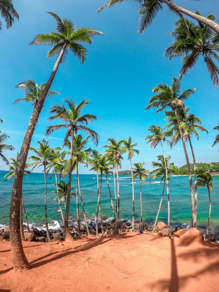 Coconut Tree Hill, Mirissa, Sri Lanka